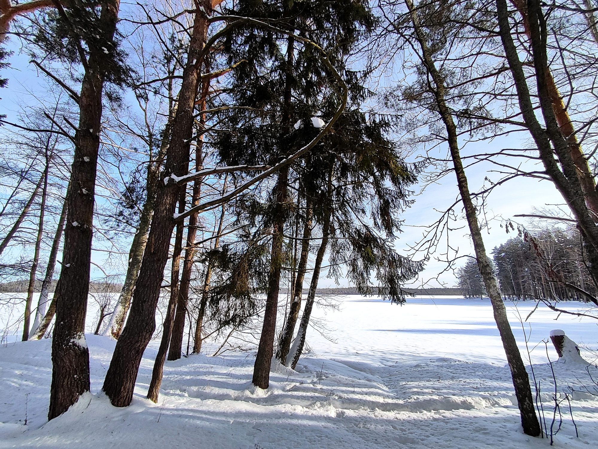 Дом 3 спальни 95 м² Новополоцк, Беларусь